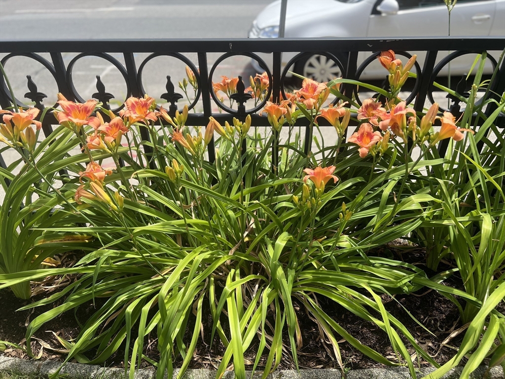 147 River Street # 2