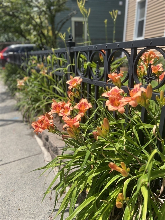 147 River Street # 2