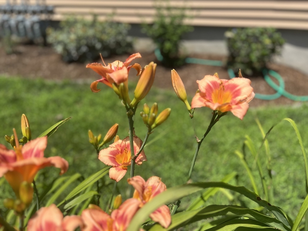 147 River Street # 2