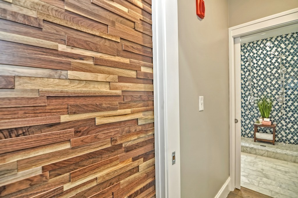 55 Hutchings Street # 3