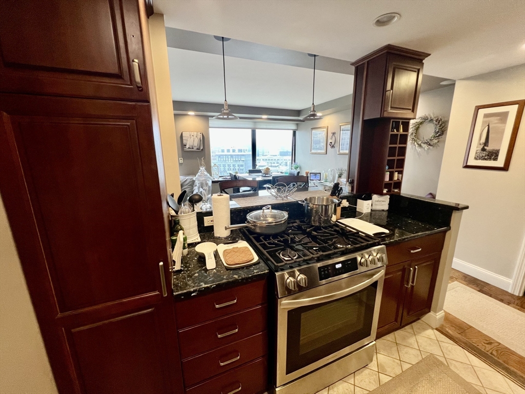 65 E India Row # 18H