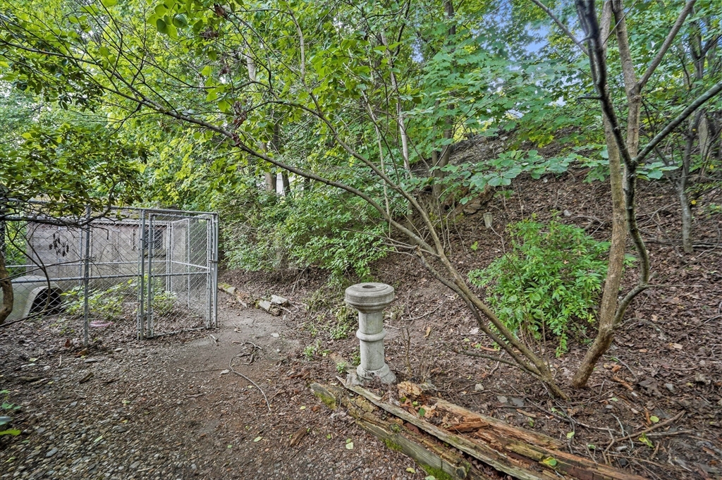 577 Grove Street