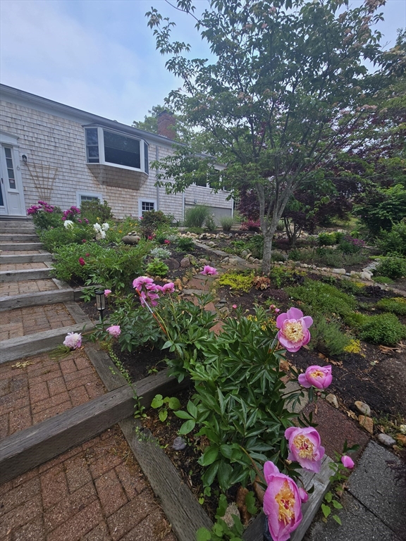 6 Paddock Drive