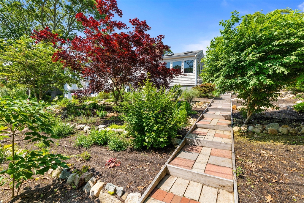 6 Paddock Drive