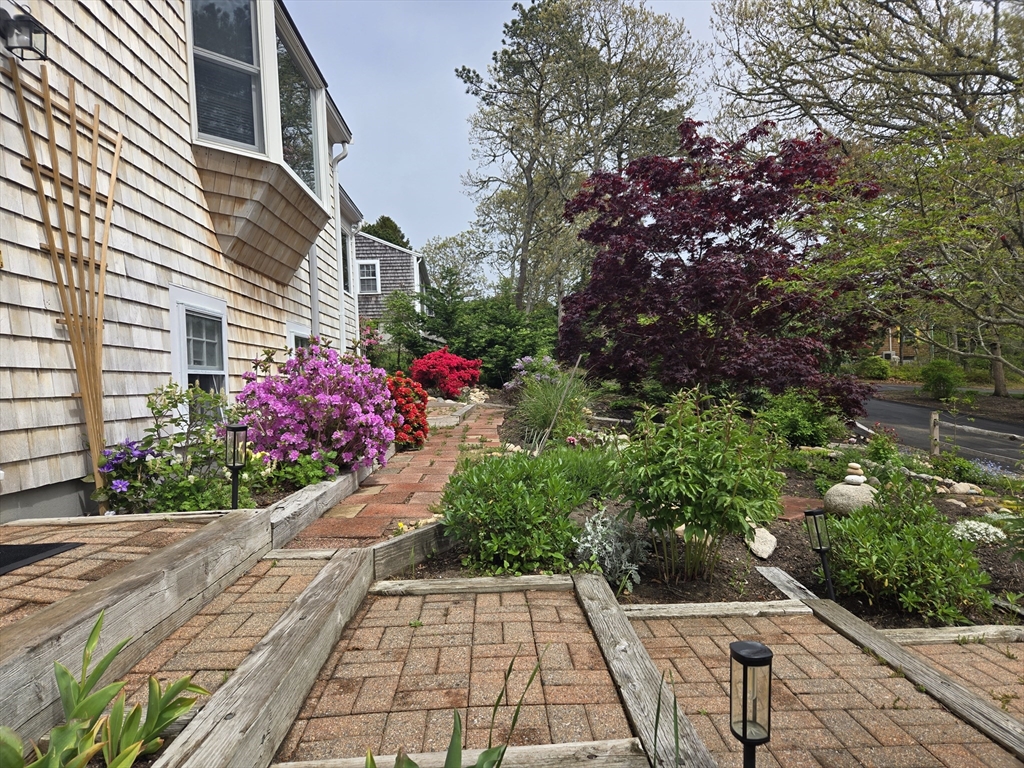 6 Paddock Drive