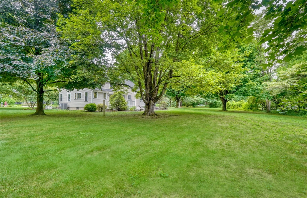 17 Longmeadow Road