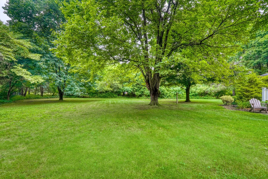 17 Longmeadow Road