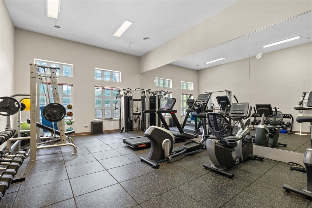 269 Cambridge Rd # 203