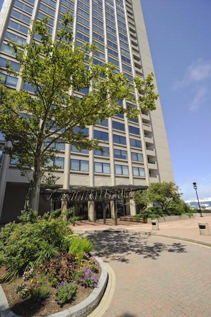 65 E India Row # 18G