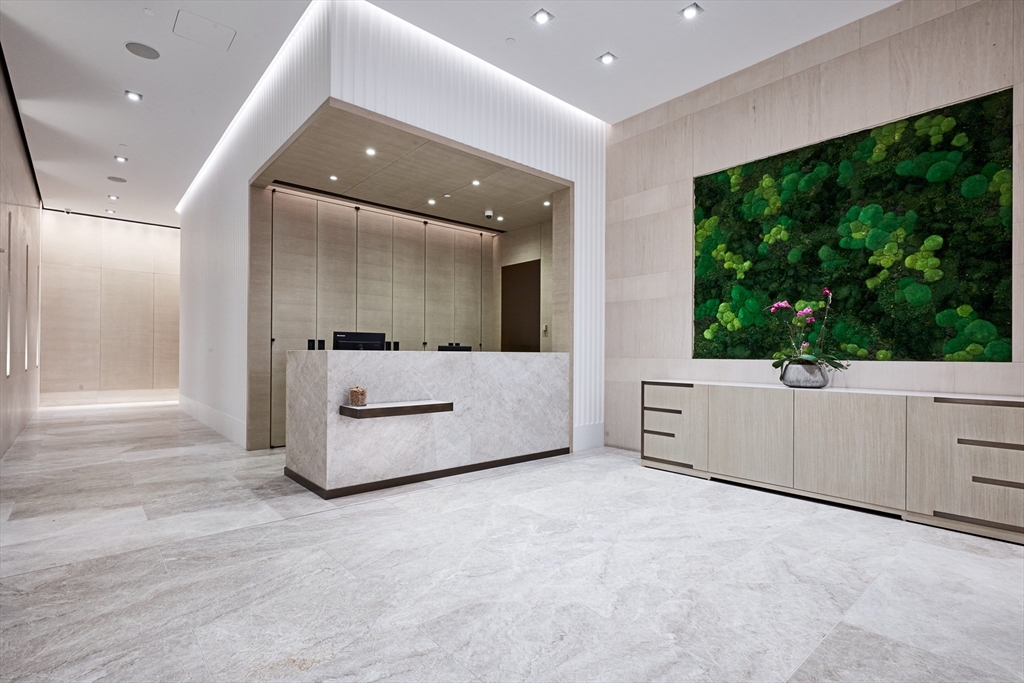 65 E India Row # 18G