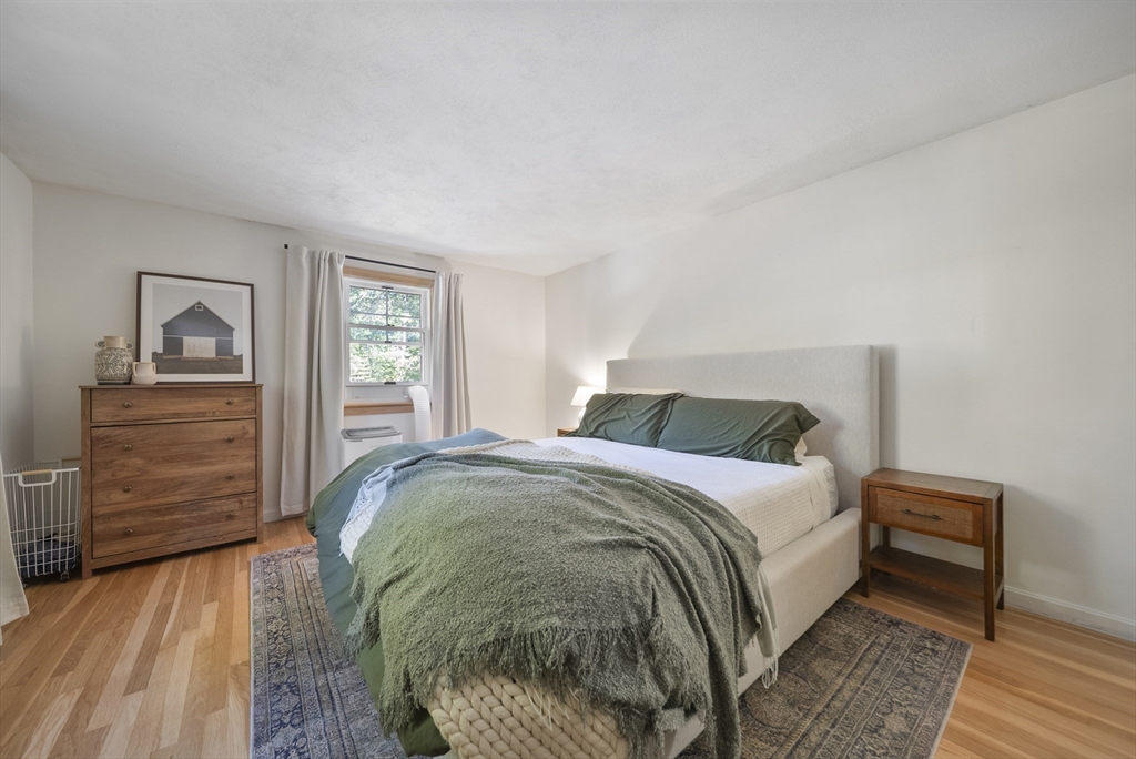 41 Searle St