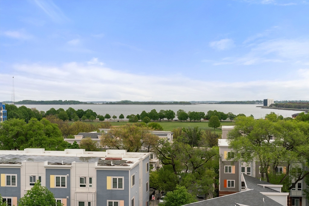 267 Old Colony # 503