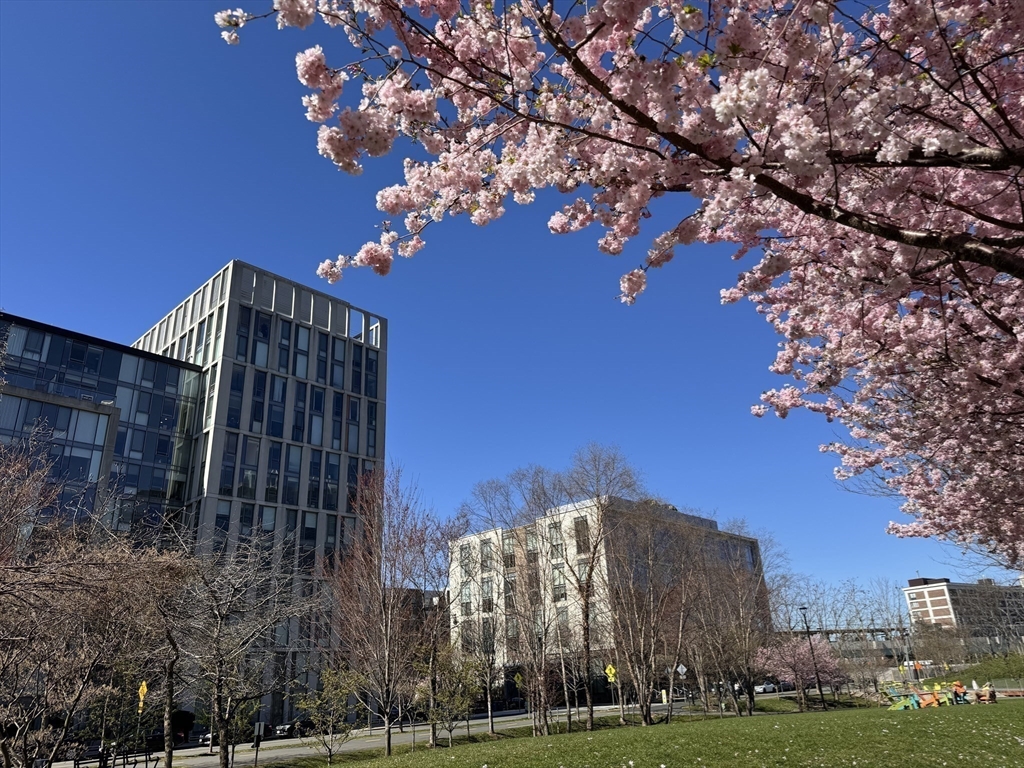 2 Earhart Street # 904