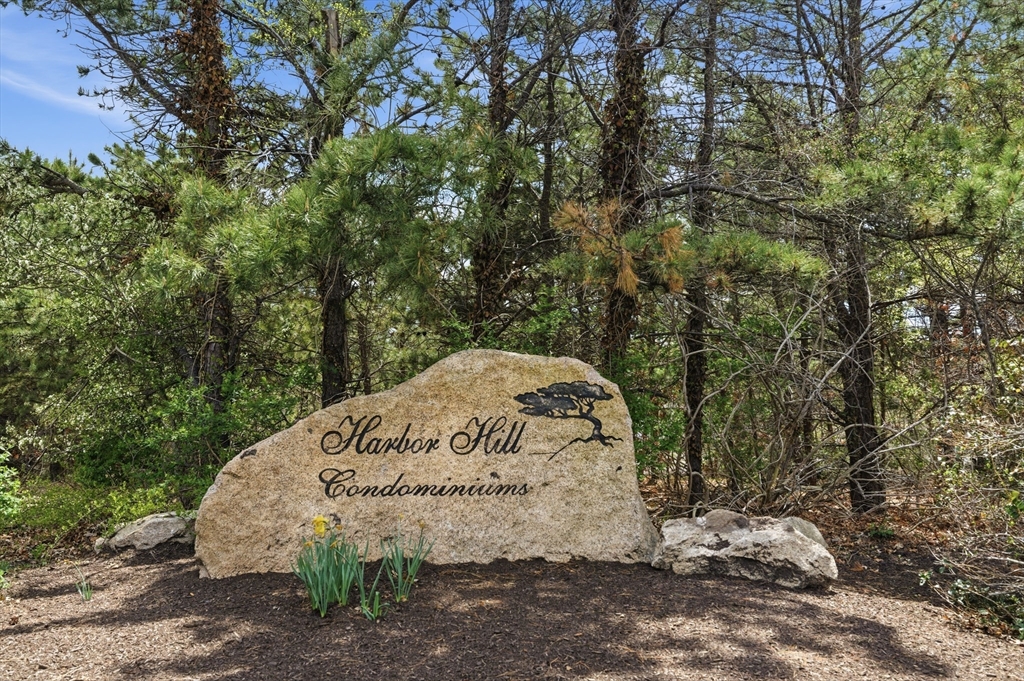 11 Harbor Hill Drive # 11