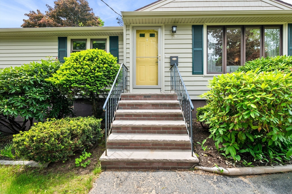 29 Patricia Rd
