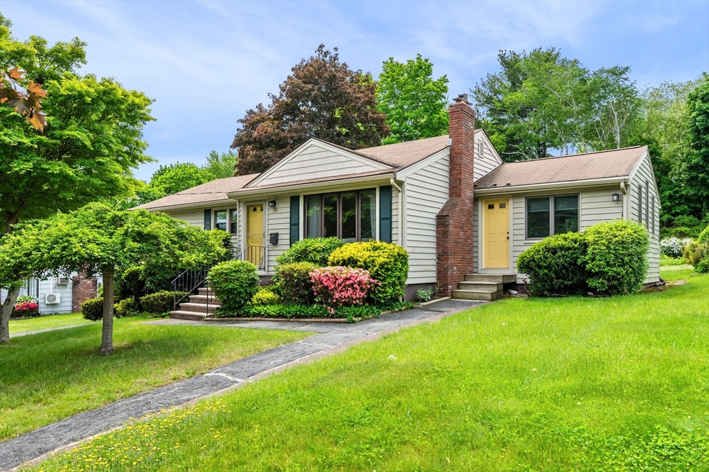 29 Patricia Rd