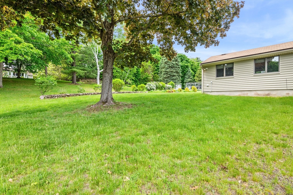 29 Patricia Rd