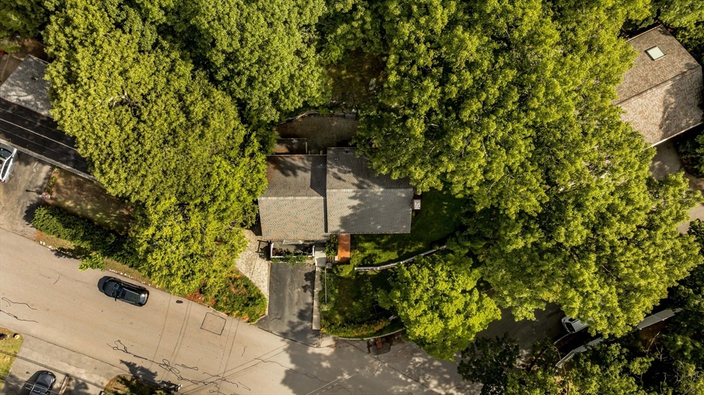 119 Ridge Street
