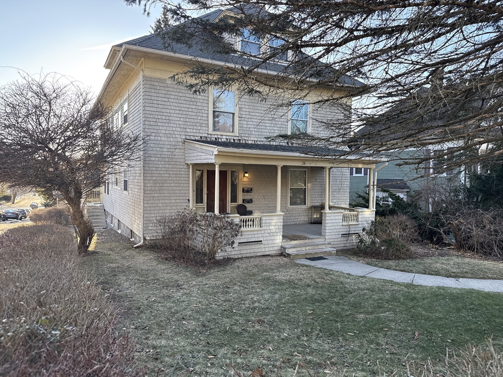 36 Westland St