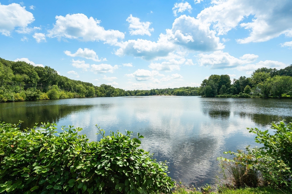 50 Mill Pond # 50