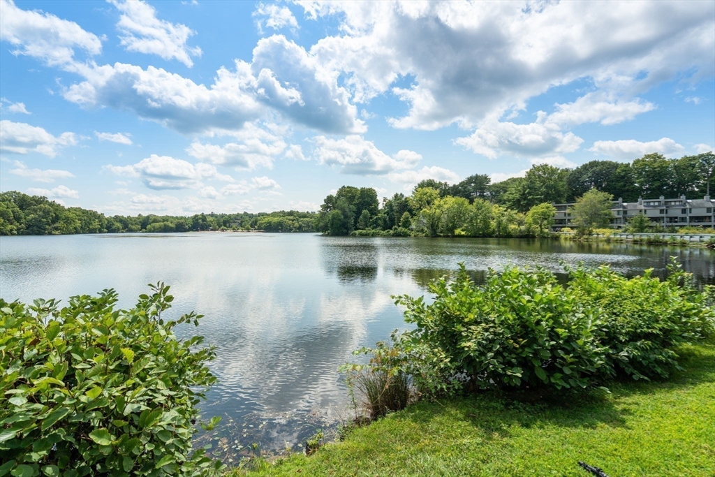 50 Mill Pond # 50
