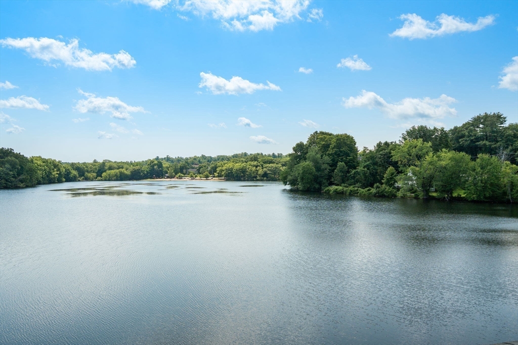 50 Mill Pond # 50