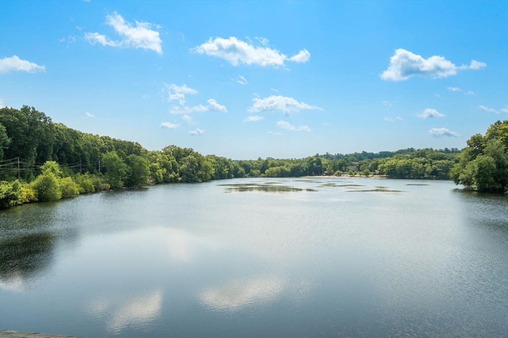 50 Mill Pond # 50