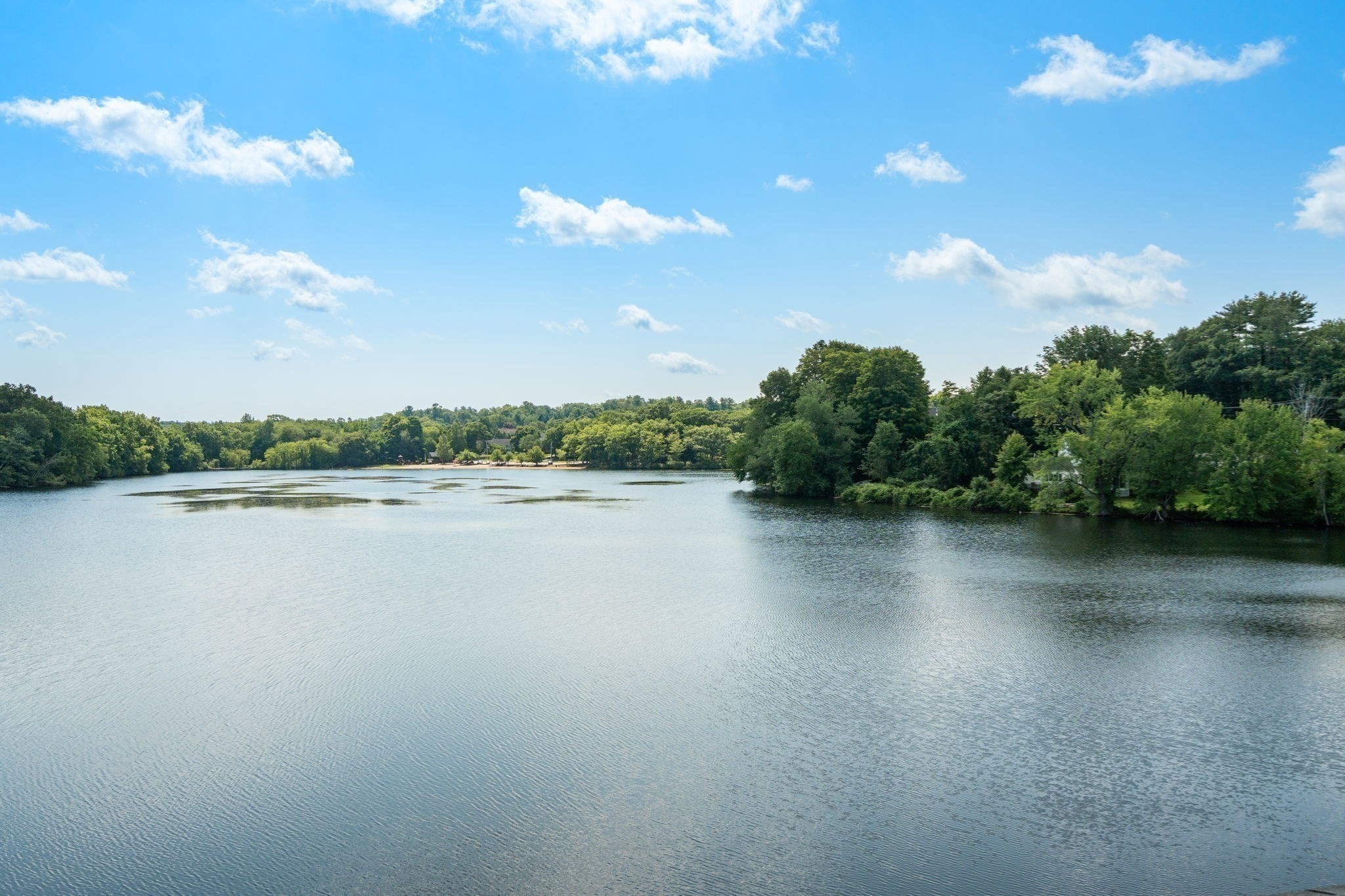 50 Mill Pond # 50