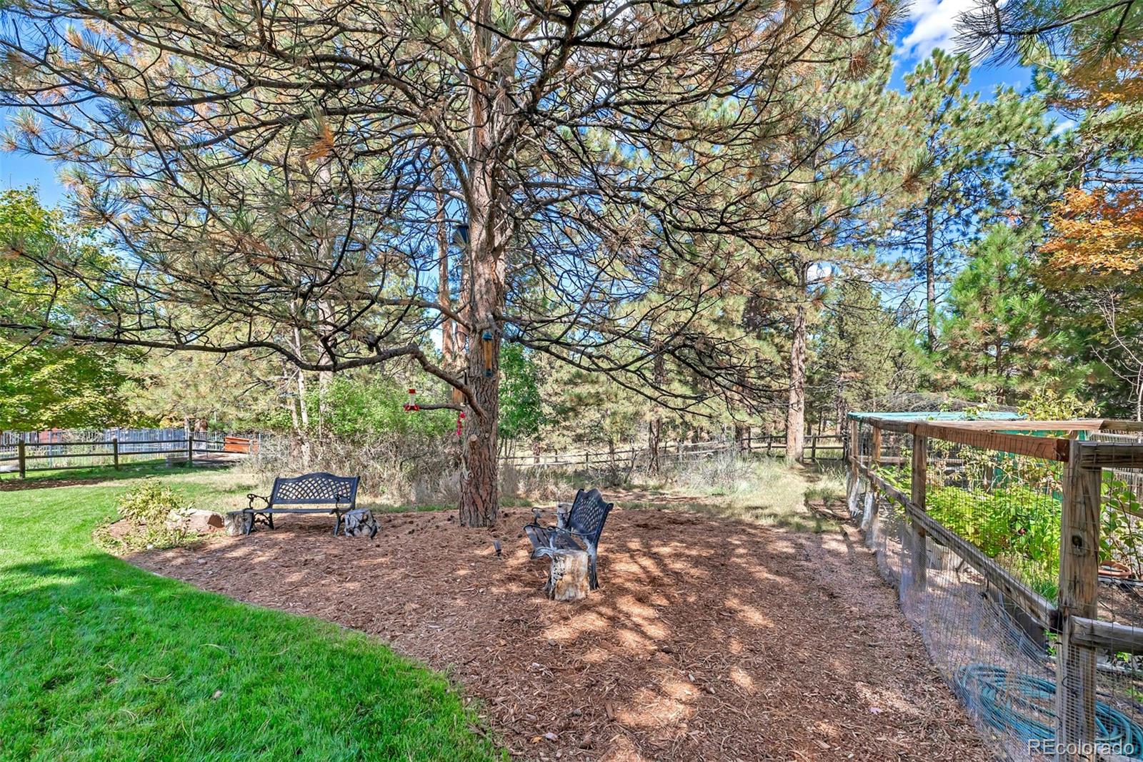 5172 Horned Owl Way