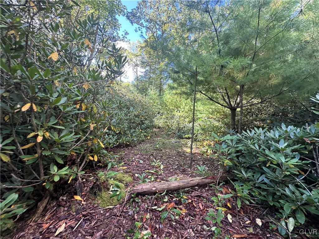 100 Drakes Creek Road