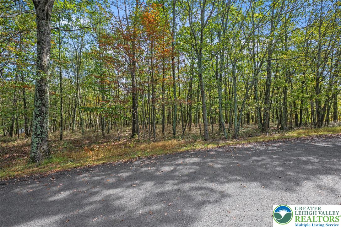 0 Stone Ridge Road