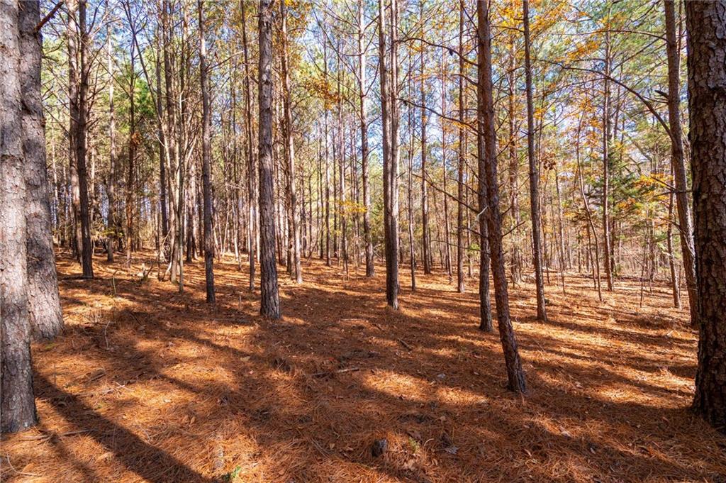 536 Wimberly Hill Road