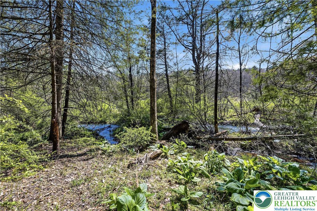 216 Merwinsburg Road