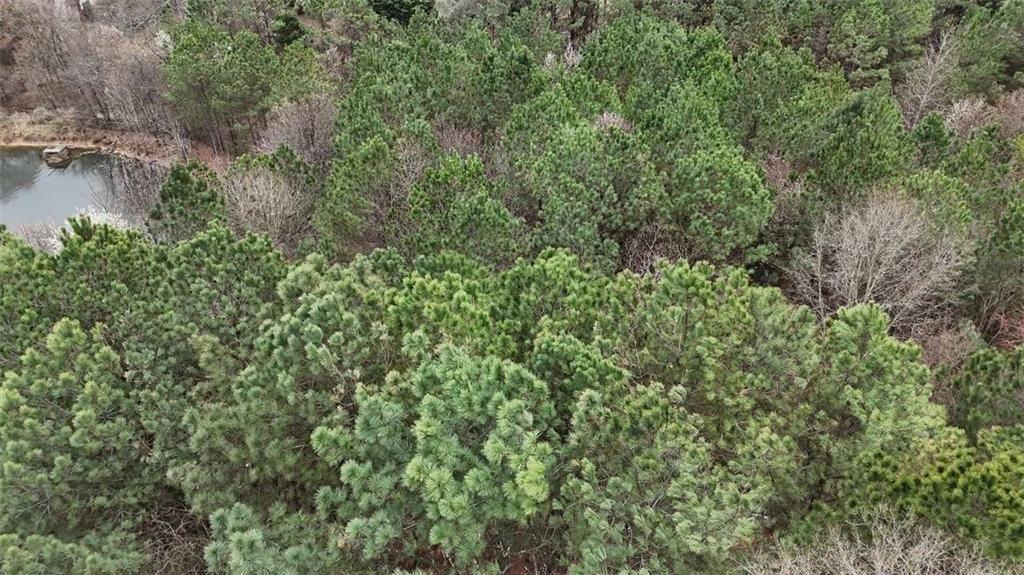 1600 Rockdale Circle