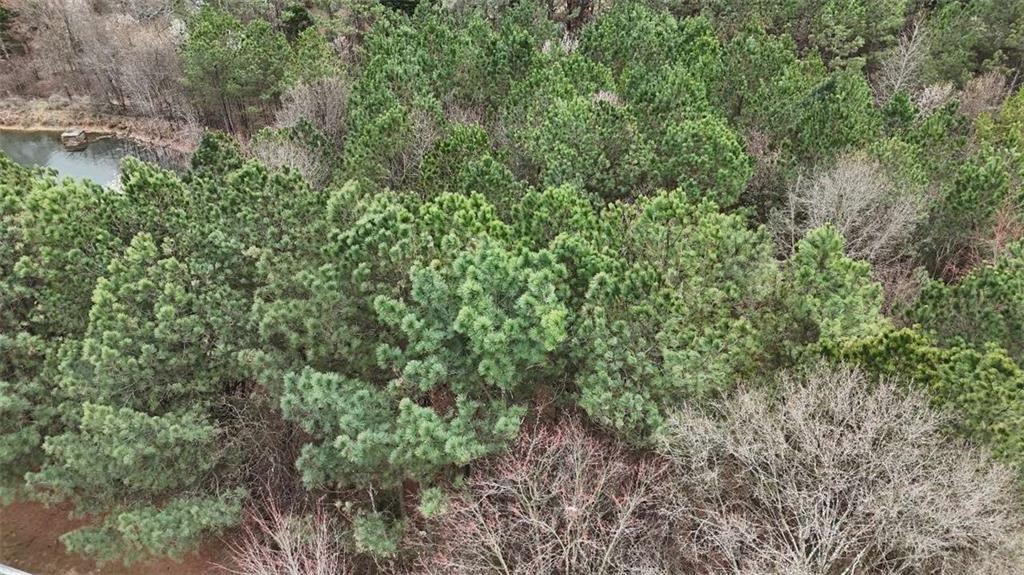 1600 Rockdale Circle