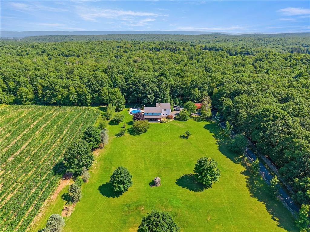 163 Mulberry Lane