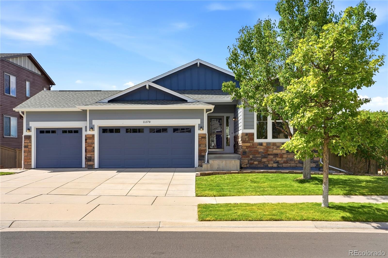 11379 Lovage Way