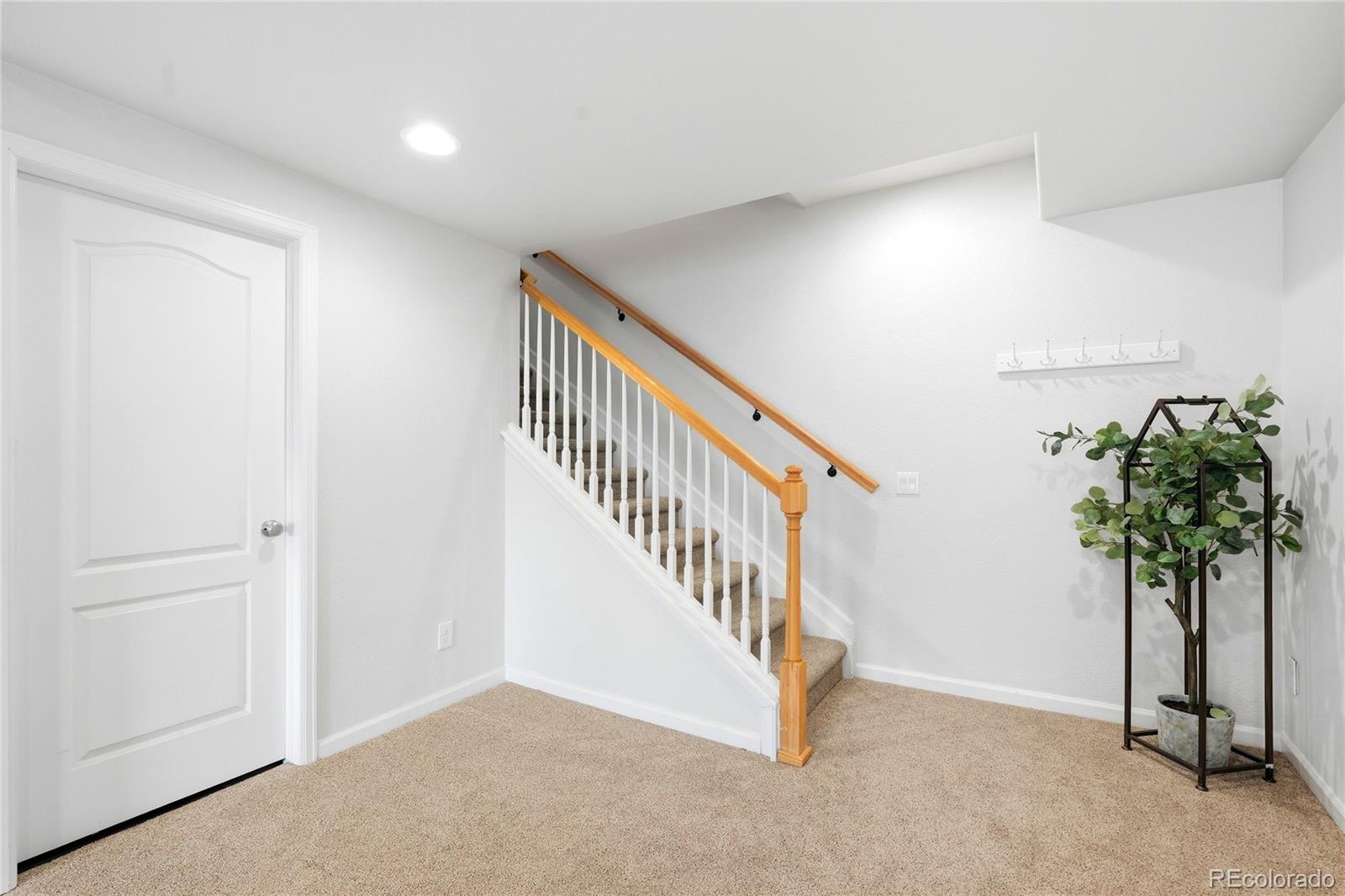 11379 Lovage Way