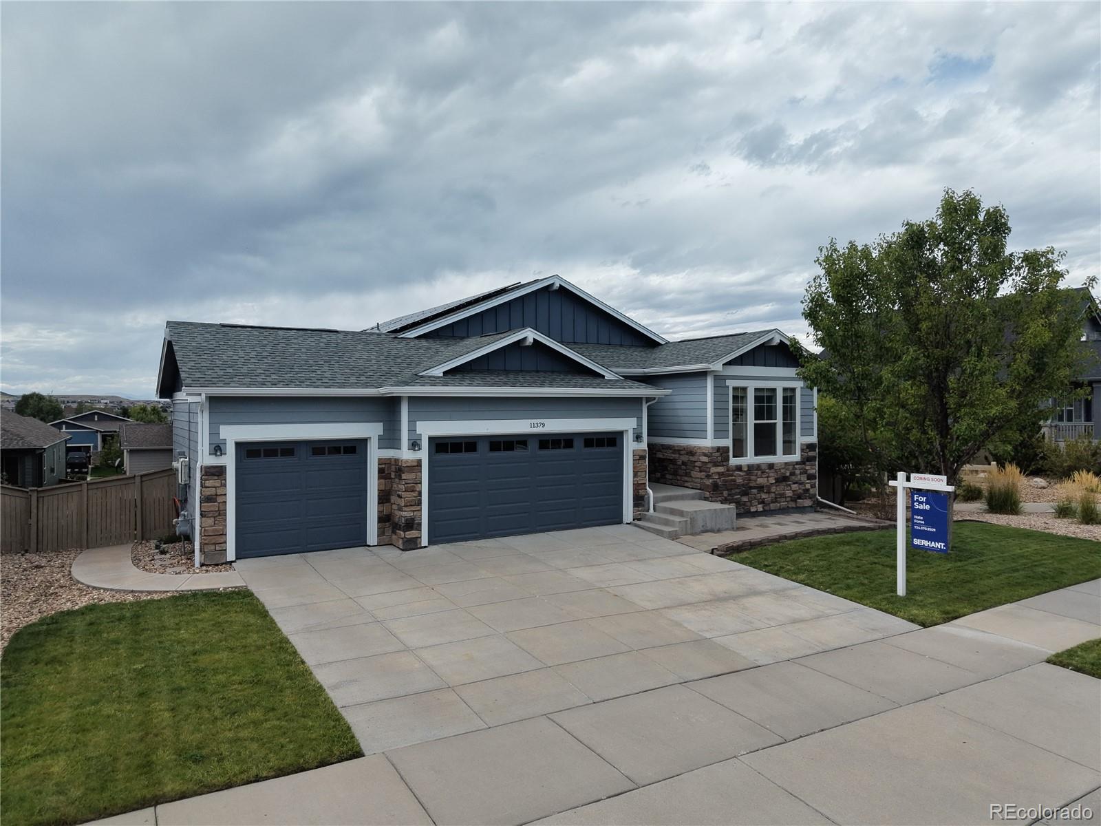 11379 Lovage Way