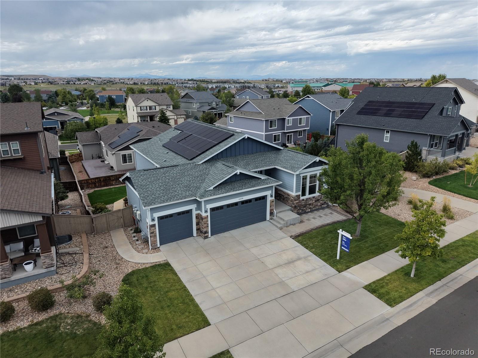 11379 Lovage Way