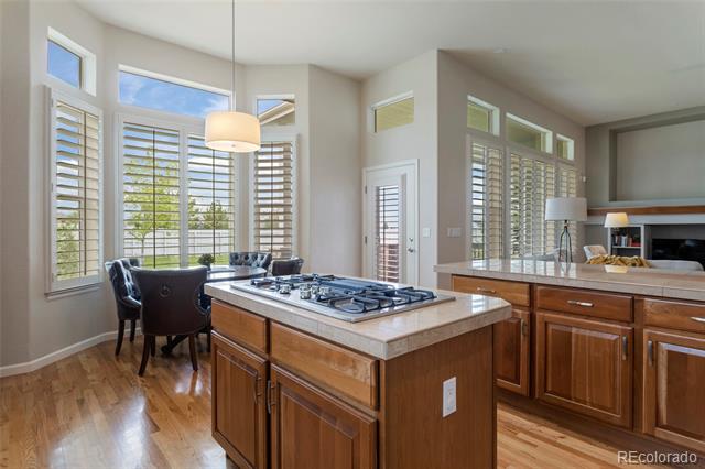 1095 Bramblewood Drive