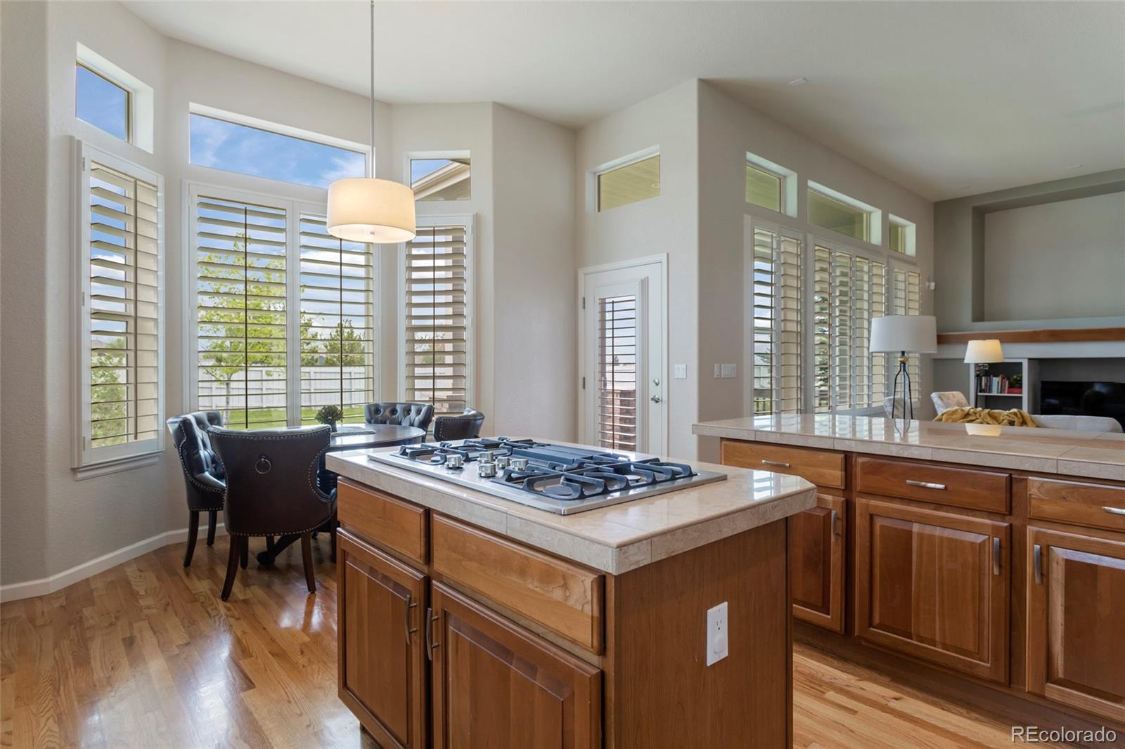1095 Bramblewood Drive