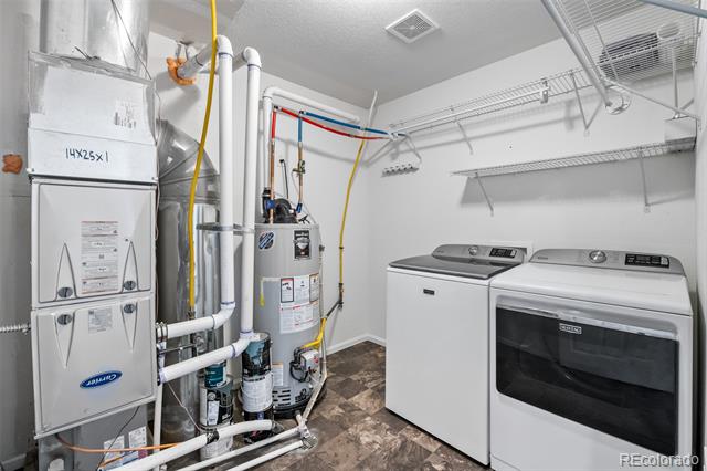10115 Yampa Court
