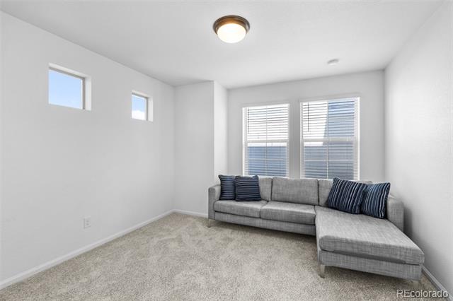 10115 Yampa Court