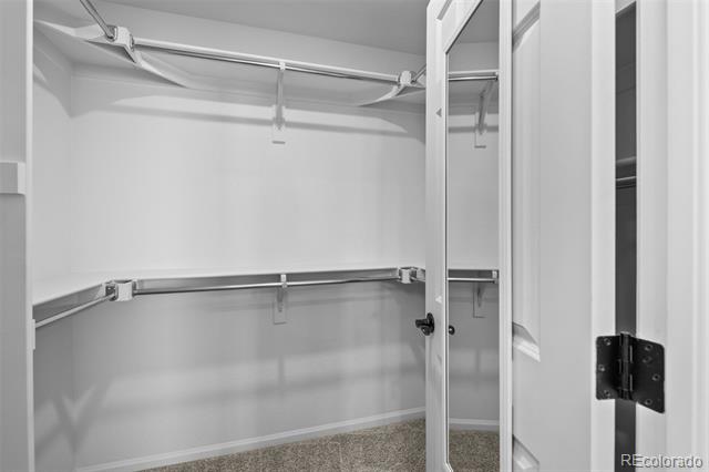 10115 Yampa Court
