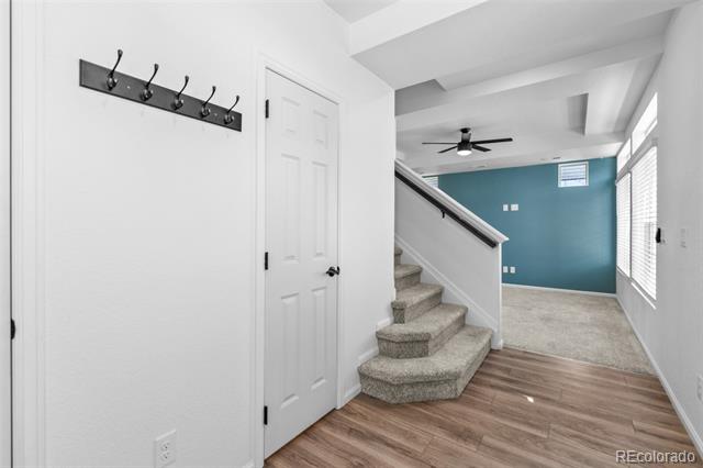 10115 Yampa Court