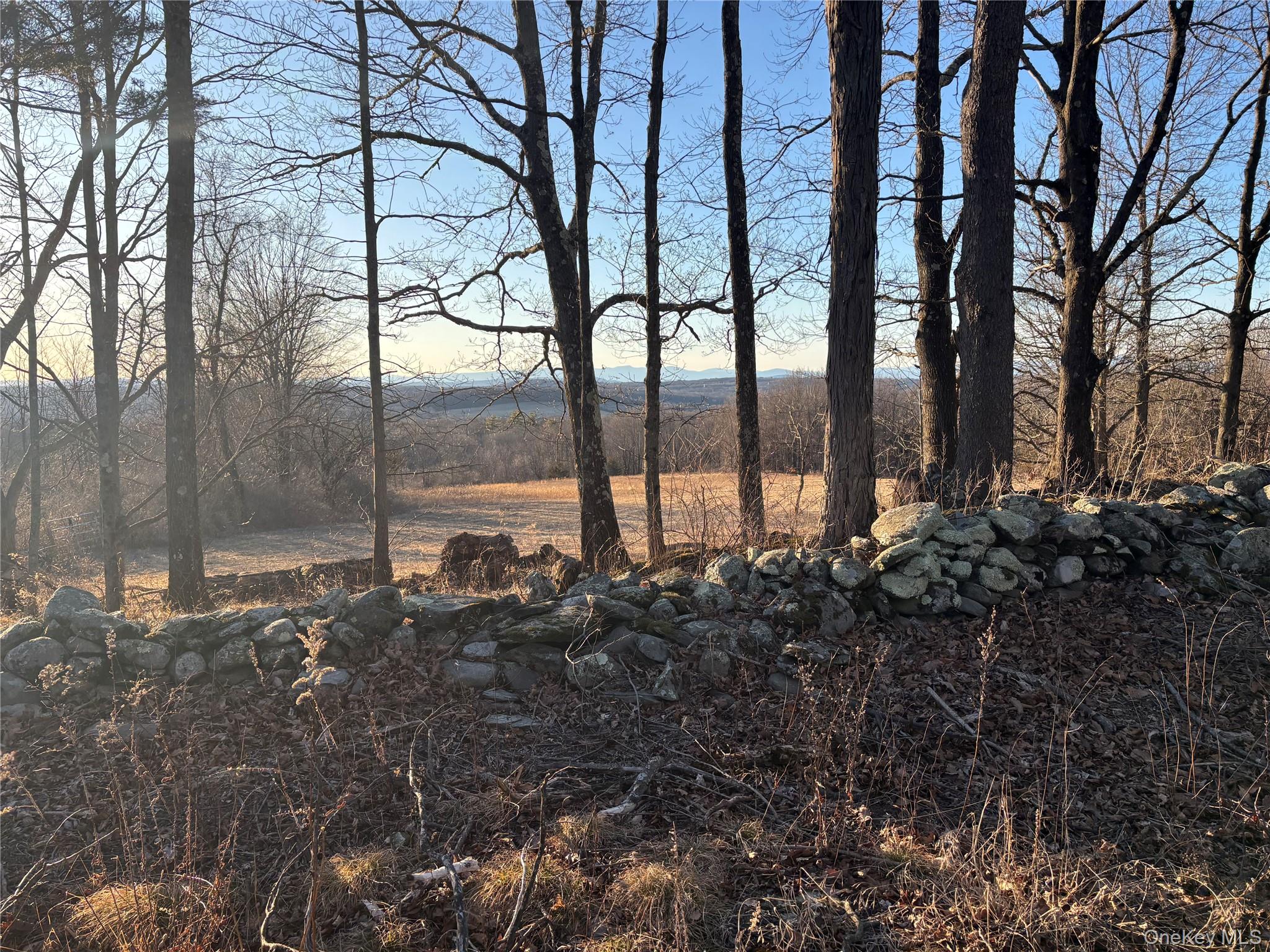 Barkit Kennel Rd