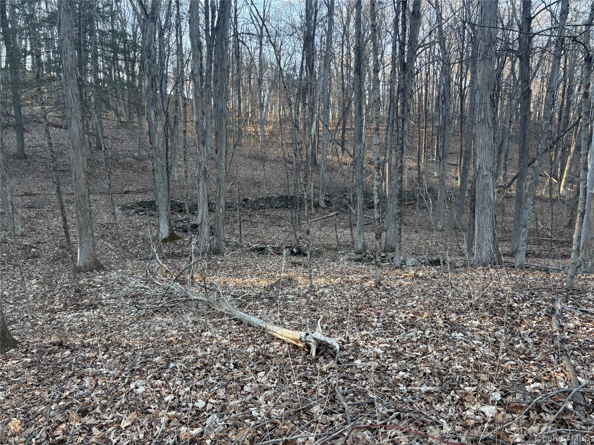 Barkit Kennel Rd