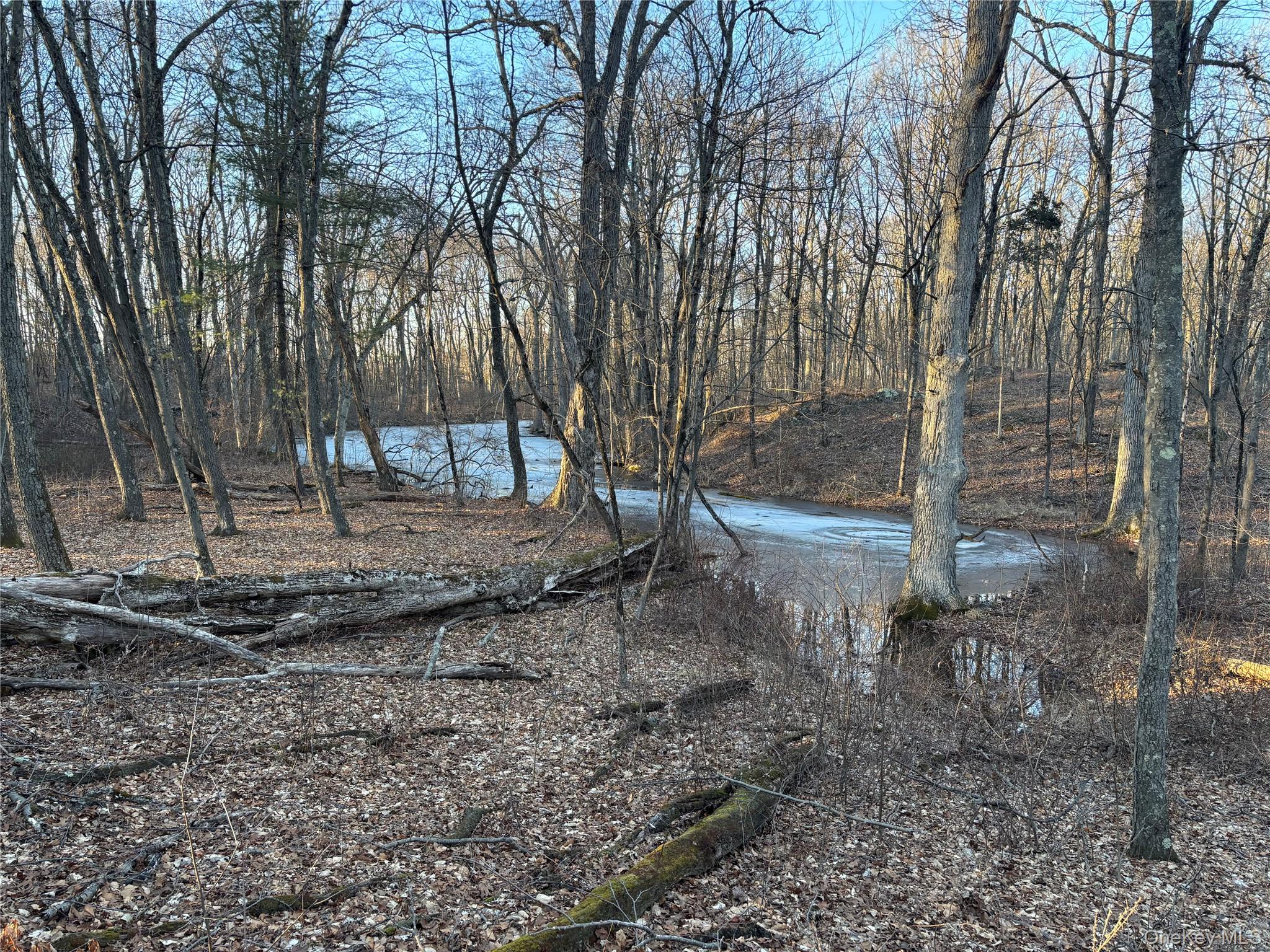 Barkit Kennel Rd