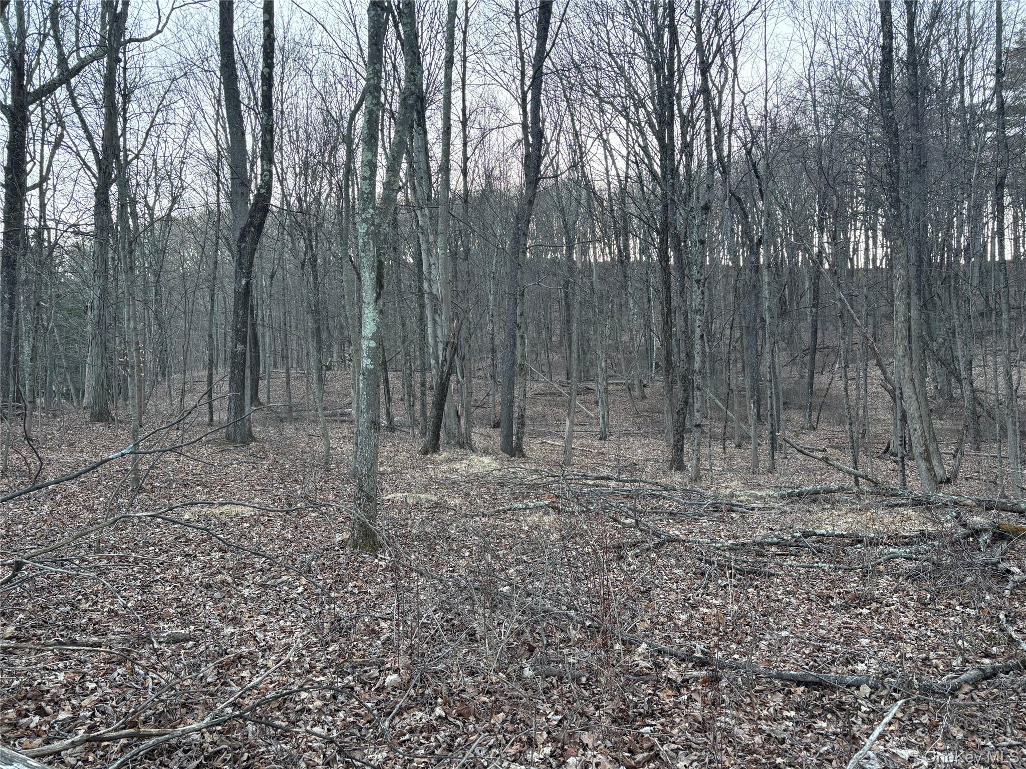Barkit Kennel Rd